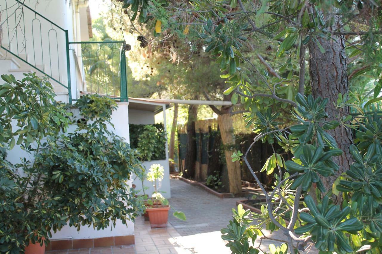 Villa Irene Vieste Extérieur photo